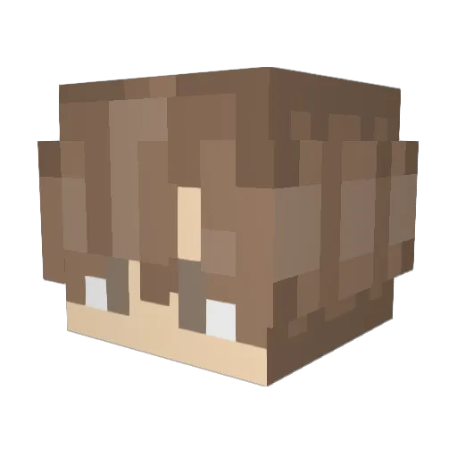 toebh Minecraft avatar head, 3D render