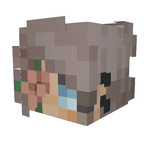 toeboi1 Minecraft avatar head, 3D render