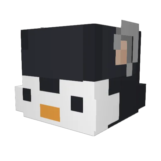 toedestroyer123 Minecraft avatar head, 3D render