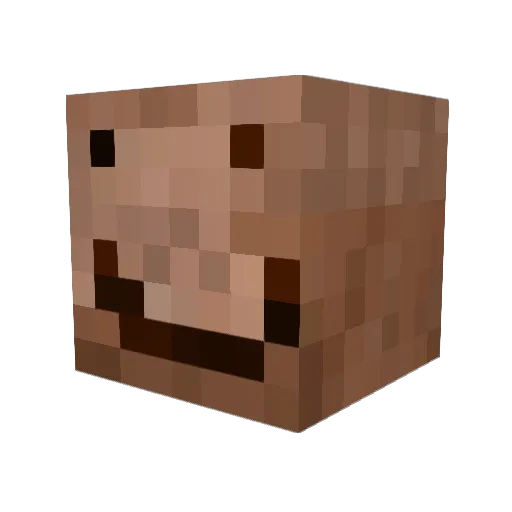 toelicker14 Minecraft avatar head, 3D render