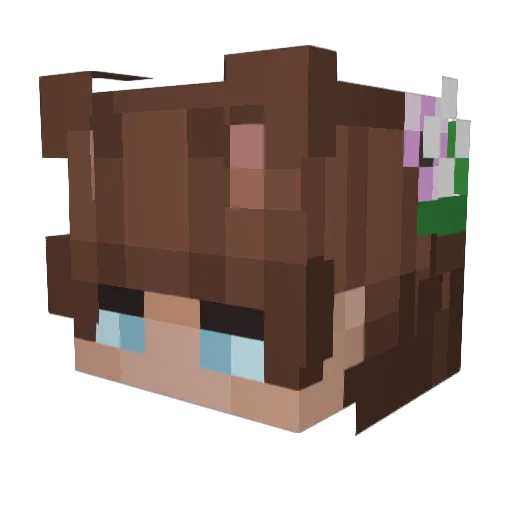 toes696969696 Minecraft avatar head, 3D render