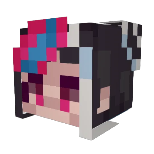 toesockz Minecraft avatar head, 3D render
