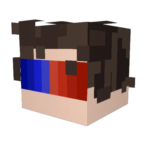 toesterville Minecraft avatar head, 3D render