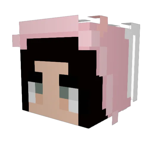 toetickler999 Minecraft avatar head, 3D render