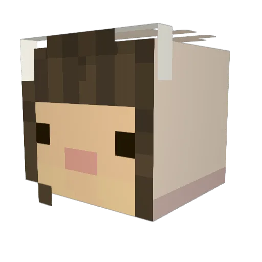toffeni Minecraft avatar head, 3D render