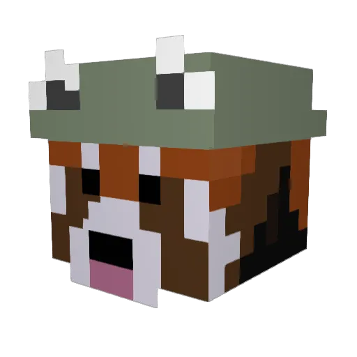 tofudeku Minecraft avatar head, 3D render