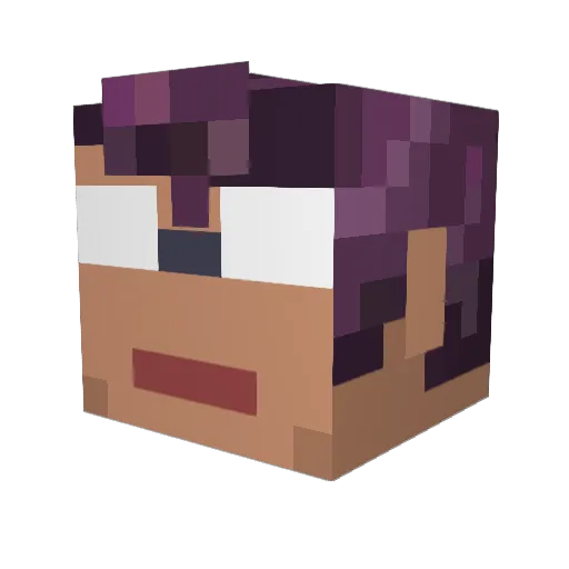 tofumaster317 Minecraft avatar head, 3D render