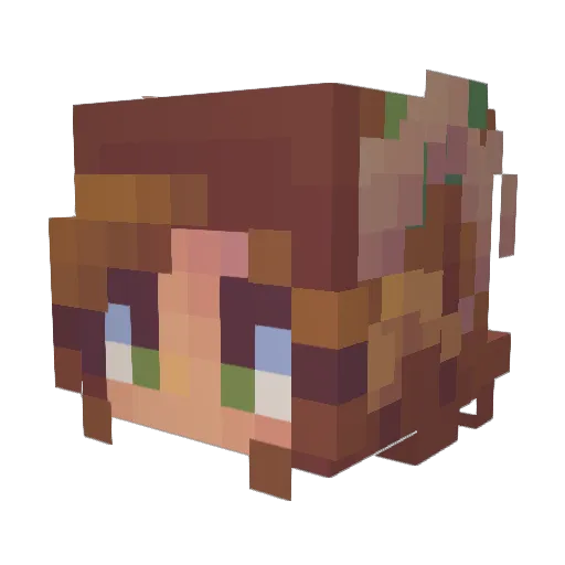 tofutoast101 Minecraft avatar head, 3D render