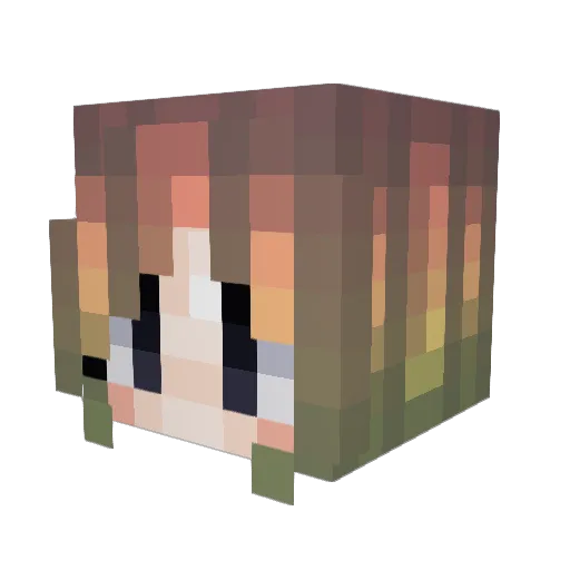 tofuyogi Minecraft avatar head, 3D render