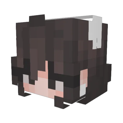tofwhoops Minecraft avatar head, 3D render