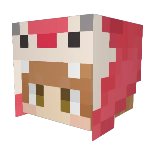 toge2719 Minecraft avatar head, 3D render