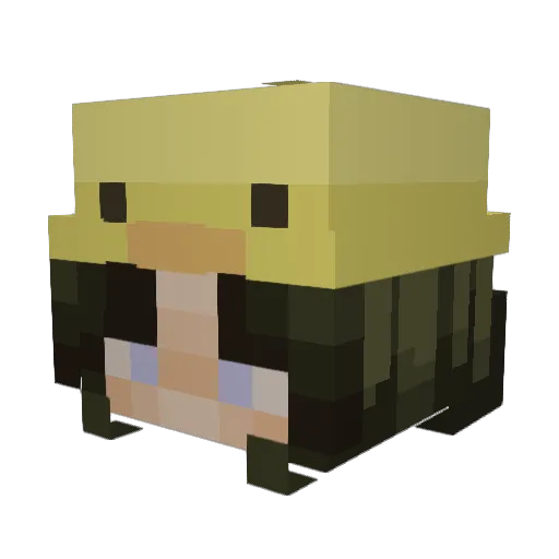 togedemaru_ Minecraft avatar head, 3D render