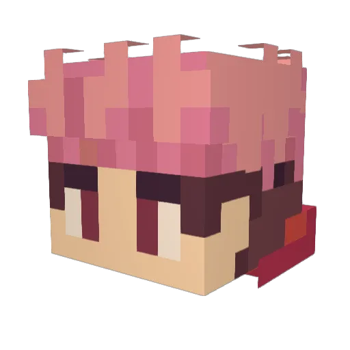 togerlily Minecraft avatar head, 3D render