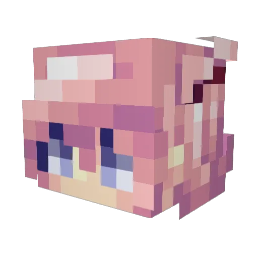 togetherqooo Minecraft avatar head, 3D render