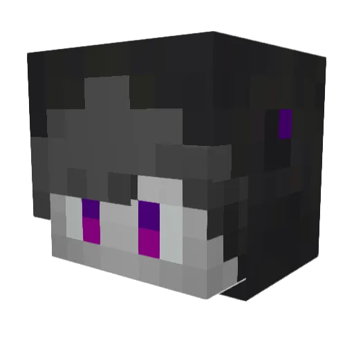 togglertack69 Minecraft avatar head, 3D render