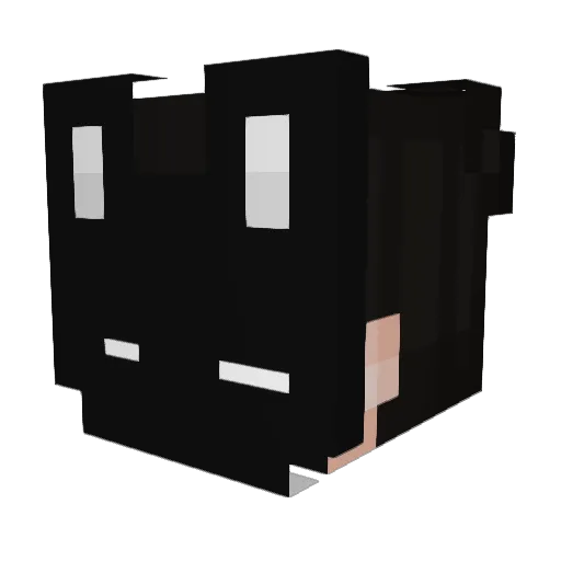 toggsuk Minecraft avatar head, 3D render