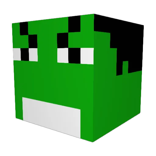 togi141919 Minecraft avatar head, 3D render
