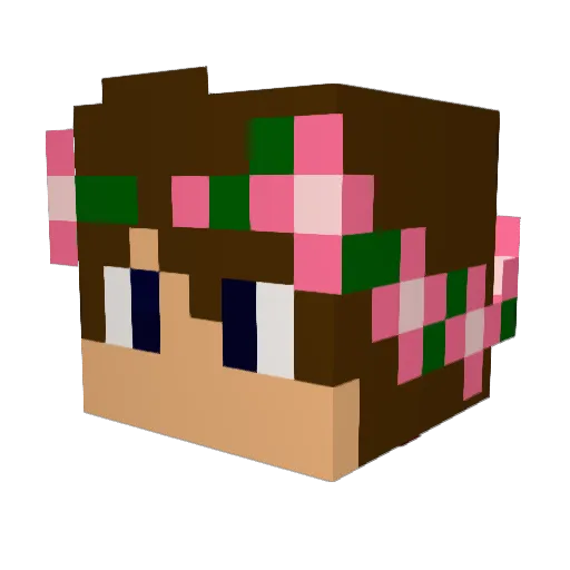 tohaTV Minecraft avatar head, 3D render