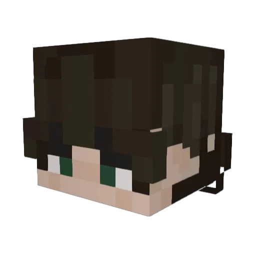 tohi__ Minecraft avatar head, 3D render