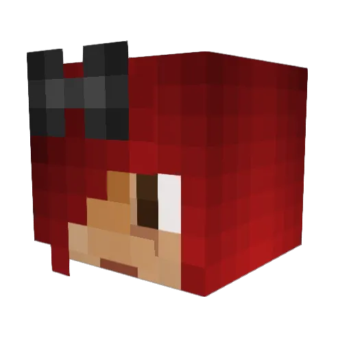 tohu97 Minecraft avatar head, 3D render