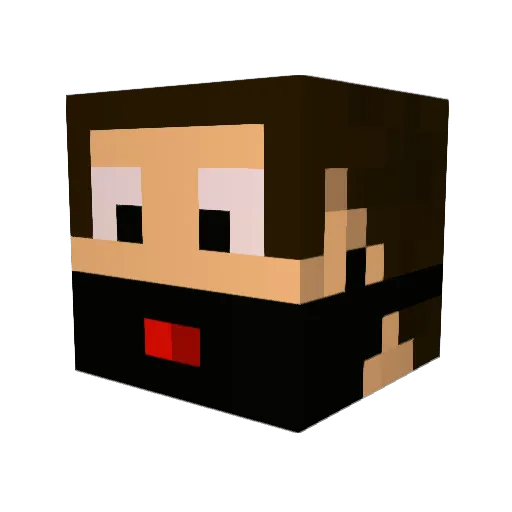 toidcraft Minecraft avatar head, 3D render