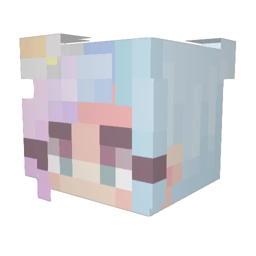 toidenhakija Minecraft avatar head, 3D render