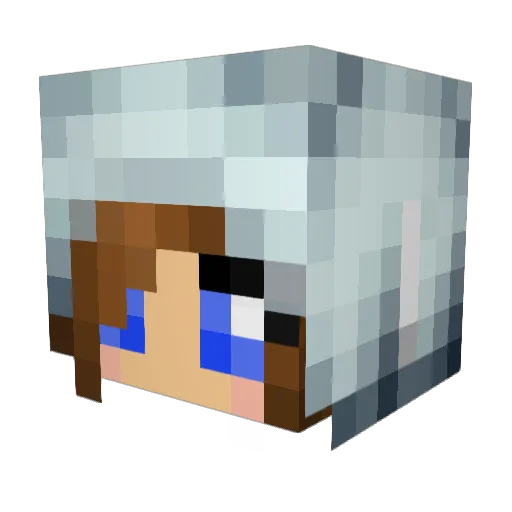 toinetch Minecraft avatar head, 3D render