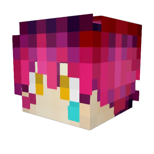 toinou5905 Minecraft avatar head, 3D render