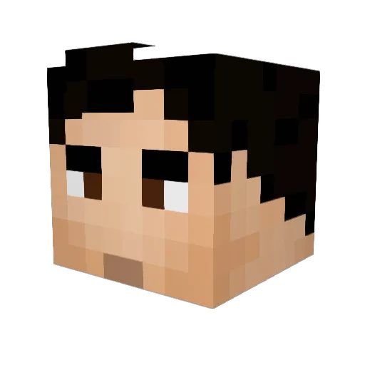 toinoudu80 Minecraft avatar head, 3D render