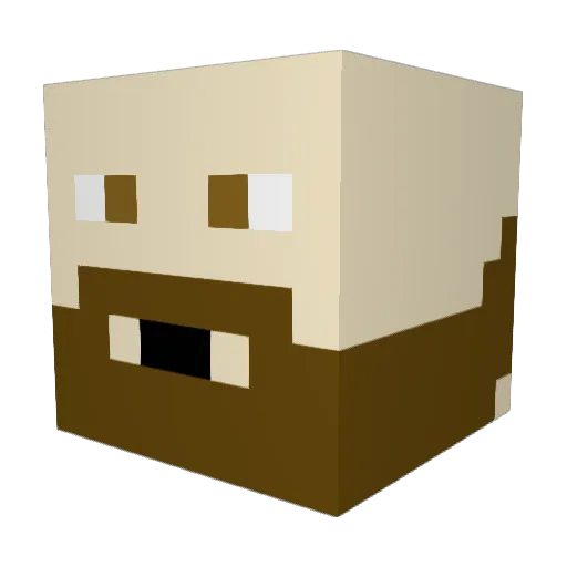 toipaster Minecraft avatar head, 3D render