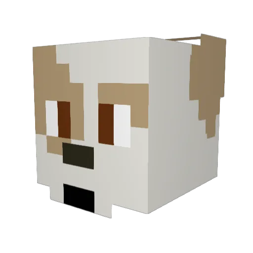 tojeye Minecraft avatar head, 3D render