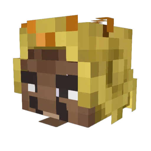 toji9 Minecraft avatar head, 3D render