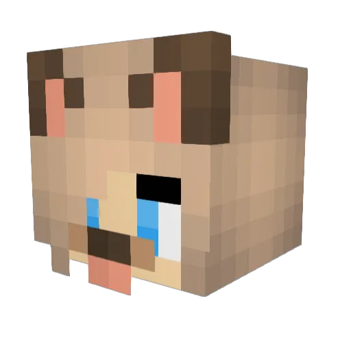 tok4rz Minecraft avatar head, 3D render