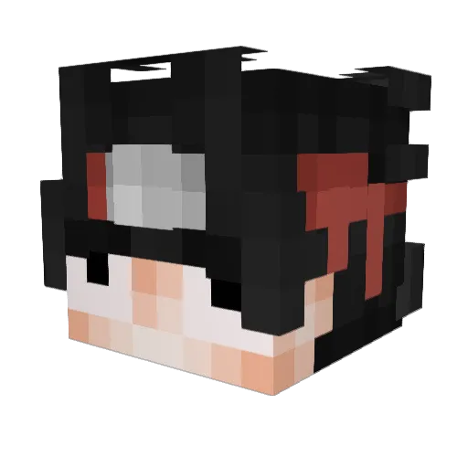 tokebou Minecraft avatar head, 3D render