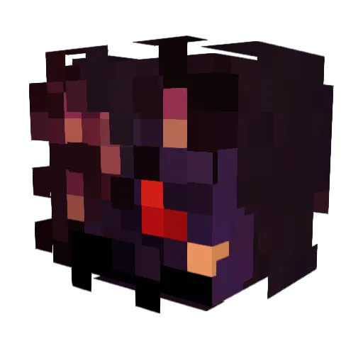 token5678 Minecraft avatar head, 3D render
