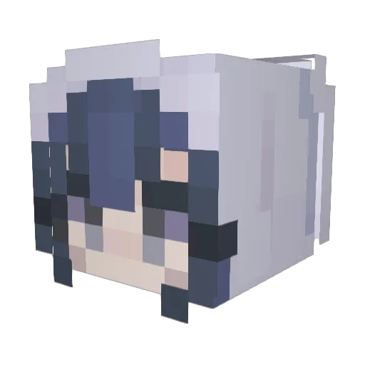 tokenbinnie Minecraft avatar head, 3D render