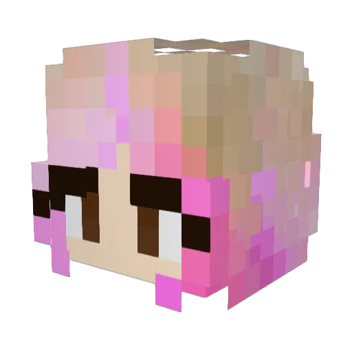 tokidoki4 Minecraft avatar head, 3D render
