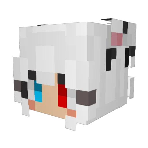 tokigamer08 Minecraft avatar head, 3D render