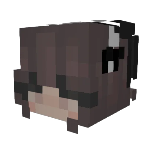 tokiy0_ Minecraft avatar head, 3D render