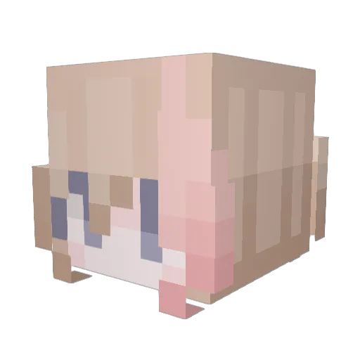 tokkithegreat Minecraft avatar head, 3D render