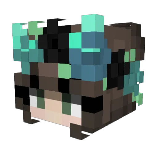 tokkivelvet Minecraft avatar head, 3D render