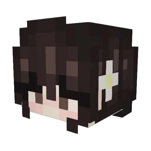 tokoboa Minecraft avatar head, 3D render