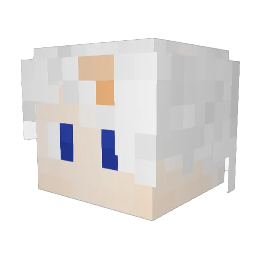 tokun4869 Minecraft avatar head, 3D render