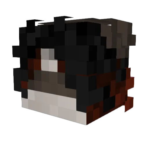 tokutataki Minecraft avatar head, 3D render