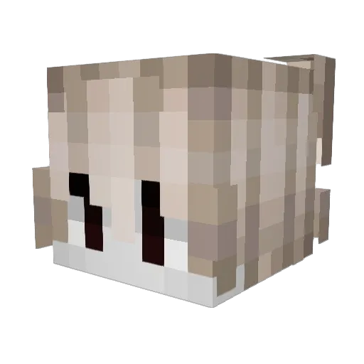 tokyocore Minecraft avatar head, 3D render