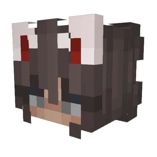 tokyovizer Minecraft avatar head, 3D render