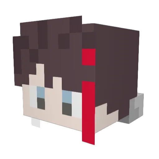 tolLB14 Minecraft avatar head, 3D render