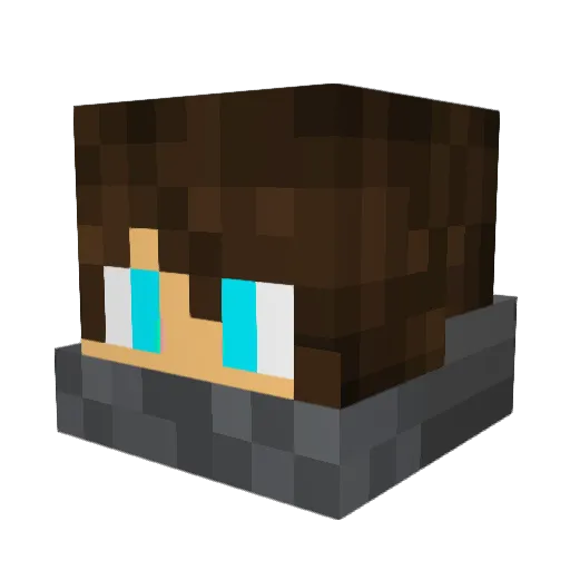 tolee0129 Minecraft avatar head, 3D render
