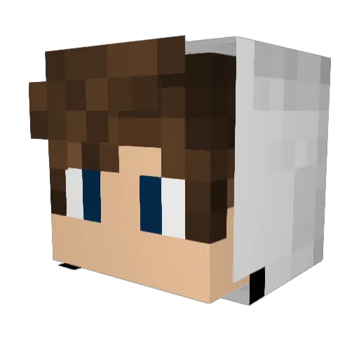 tolegamer Minecraft avatar head, 3D render