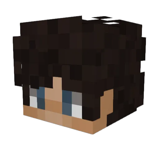 tolerants Minecraft avatar head, 3D render